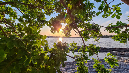 Lush green tree branch at romantic sunset overlooking idyllic Kvarner Bay in Medulin, Croatia, Europe. Sailing boat in calm bay of Adriatic Mediterranean Sea in summer. Tranquil peaceful scene