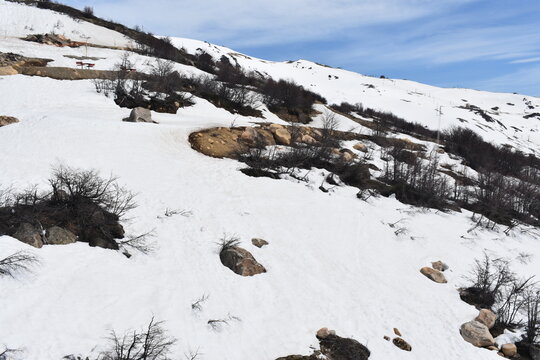 monta&ntilde;a con nieve y un cielo despejado que podemos ver un poco de maleza 