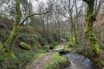 Sendero de los molinos del río Couso, en Ponteareas (Galicia, España)