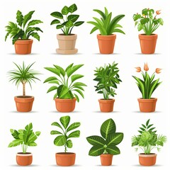 Fototapeta premium Variety of Lush Indoor Plants in Terracotta Pots for Modern Home Decor