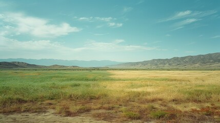 Obraz premium Contrast of Green Landscape and Desert Area 
