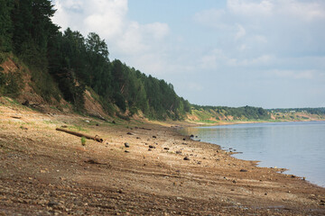 A tranquil natural landscape with trees lining the beach, a serene body of water in the background reflecting the clouds and sunny sky