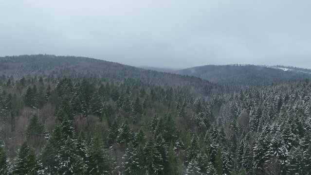Natural landscape of misty mountains and forest. Winter time