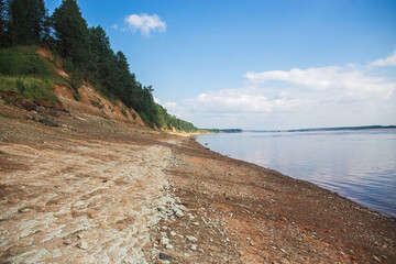 A serene natural landscape featuring a sandy beach next to a tranquil body of water with trees lining the shore under a cloudy sky