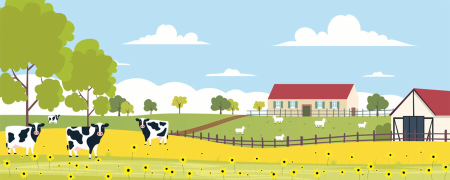 Rural landscape. Farm. A field of sunflowers, cows in a meadow, sheep in a paddock, against the backdrop of agricultural buildings, trees and a blue sky with clouds.