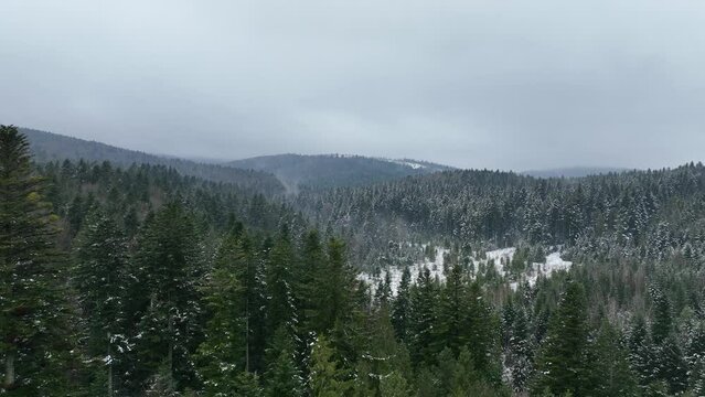 Natural landscape. Forest and mountains in winter season. Misty and cloudy weather