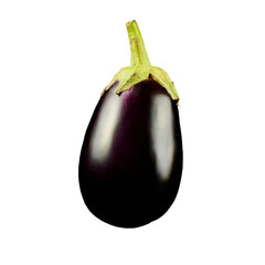 eggplant, isolated image on transparent background