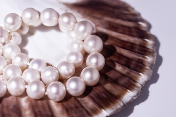 elegant women's necklace made of natural white pearls on a shell