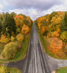 Lithuanian Autumn Leaves Color Nature and Road. Beautiful Landscape. Drone Point of View