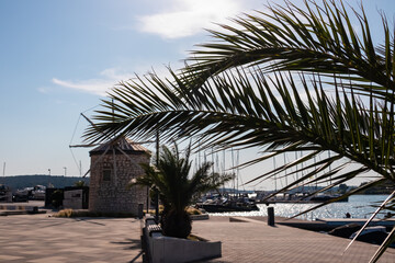 Leaf of palm tree in front of windmill landmark at idyllic port of coastal town Medulin, Istria peninsula, Croatia, Europe. Coastline of Kvarner Gulf in Adriatic Mediterranean Sea in tranquil summer.