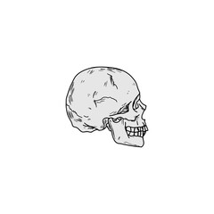 Skull icon hand drawn isolated on white background