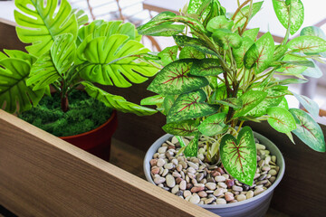 artificial plants in pots