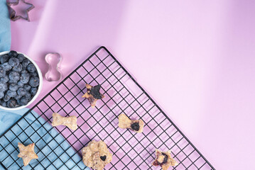 Baked, homemade blueberry, oat, and peanut butter dog paw, star and bone shaped biscuit treats....