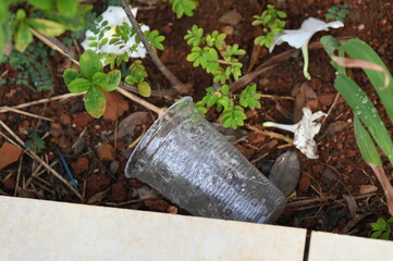 plastic bowl abandoned in a vase with stagnant water inside. close up view. mosquitoes in potential...
