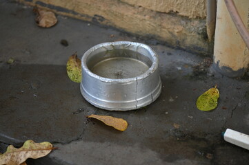 plastic bowl abandoned in a vase with stagnant water inside. close up view. mosquitoes in potential...