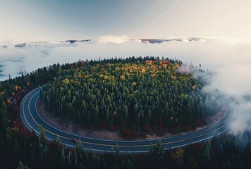 A winding road with trees on both sides and a cloudy sky in the background. The road is surrounded by a forest and the trees are in various stages of autumn - Powered by Adobe