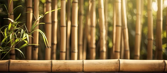 Fototapeten Plant surrounded by bamboo poles © Ilgun