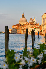 View of the Basilica of Santa Maria della Salute, Venice, Italy - 764245683