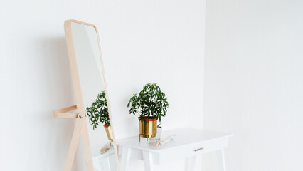 Potted plant on side table, white wooden table beside rectangular mirror with beige wooden frame