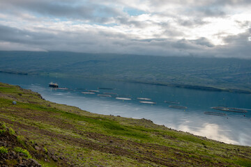 Iceland Faroe Islands , fish farms in the gulf .