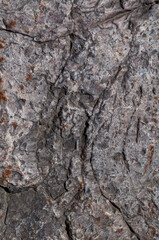 Texture of uneven gray stone with cracks and rust spots