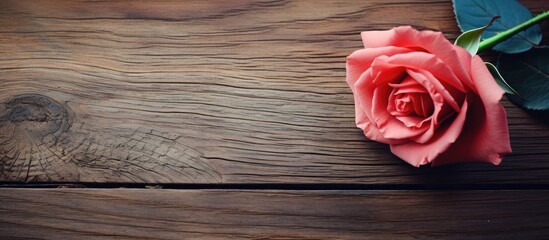 Single rose on wooden table with leaf