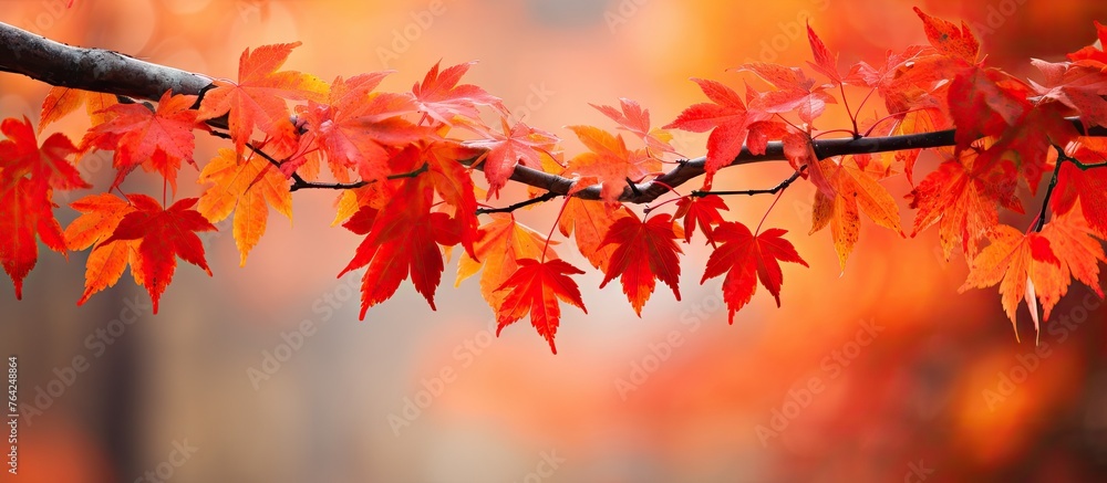 Poster Close-up of branch adorned with red leaves