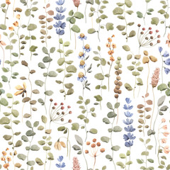 Floral seamless pattern with abstract plants and flowers, watercolor isolated illustration for nature background, textile or wallpapers.