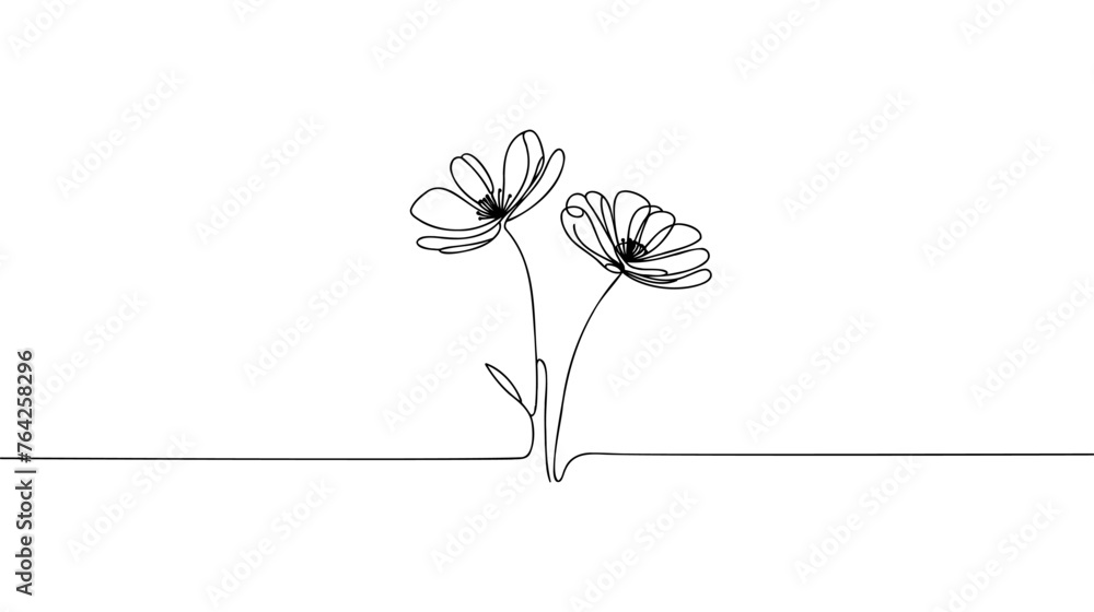 Wall mural one line flower element. black and white monochrome continuous single line art. floral nature woman 