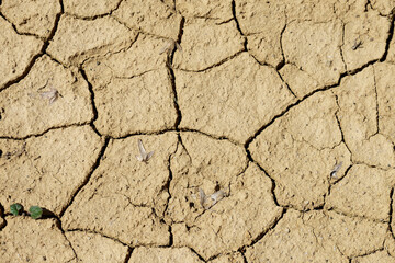 Dried land. Climate change. Severe drought. Global warming. Environmental disaster.