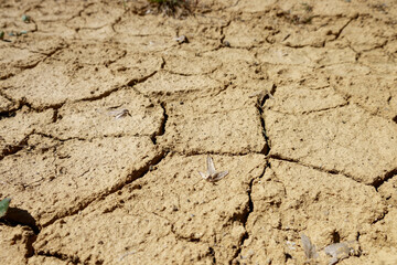 Dried land. Climate change. Severe drought. Global warming. Environmental disaster.