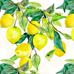 Lemon seamless pattern .Seamless pattern on white and colored background. Watercolor. Vector.