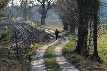 One walking person on winding rural road in spring scenery