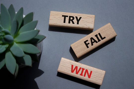Try Fail Win symbol. Concept words Try Fail Win on wooden blocks. Beautiful grey background with succulent plant. Business and Try Fail Win concept. Copy space.