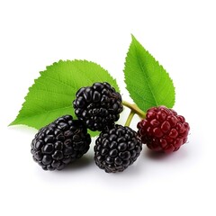 Three organic Mulberry fruits with green leaves isolated on white background