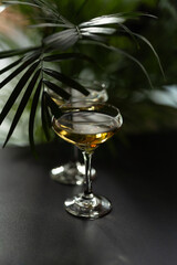 Two glasses with white wine on green leaves background