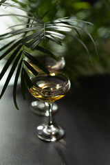 Two glasses with white wine on green leaves background