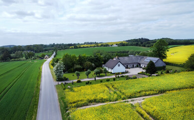 Country idyll in Denmarkwith country house and blossoming agricultural fields (rapeseed flowers)