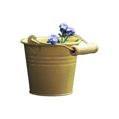 bucket with lavender