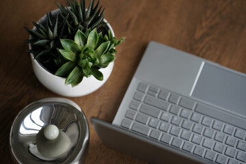 A minimal table top scene of laptop with blank screen, Ficus in white ceramic pot, linen . Modern workplace. Cozy space.
