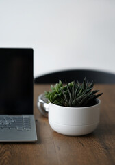 A minimal table top scene of laptop with blank screen, Ficus in white ceramic pot, linen . Modern workplace. Cozy space.