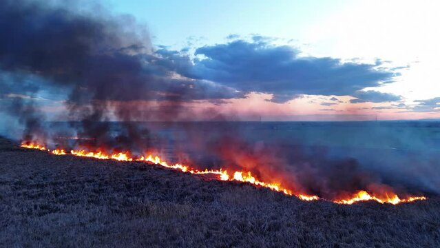 A fire in the field drone view video