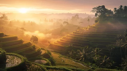 Fototapete Reisfelder Sunrise breaks through mist over terraced rice fields