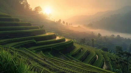 Fotobehang Sunrise breaks through mist over terraced rice fields © Amil