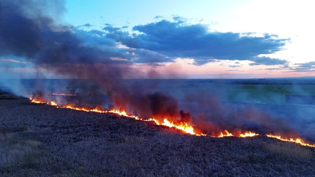 A fire in the field drone view video