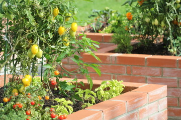 Spring background. A modern vegetable garden with raised briks beds . Raised beds gardening in an urban garden