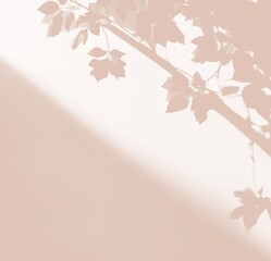 Background Beige wall with Shadow Pastel Banner