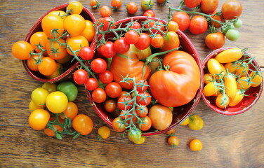 Freshly picked heirloom tomato harvest: pear shaped, beef heart, tigerella, brandywine, cherry