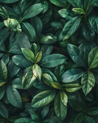 Collection of tropical leaves,foliage plant in green color with copy space background, wallpaper