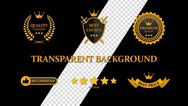 Premium Quality Icon Pack